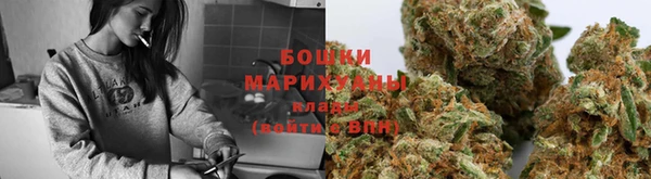 apvp Богородицк