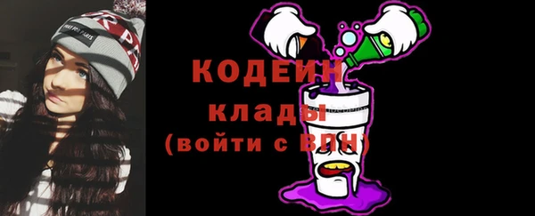 apvp Богородицк