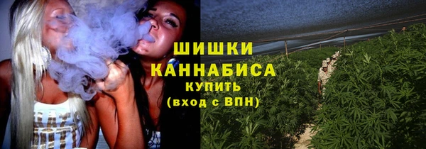 прущая мука Богданович