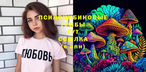 apvp Богородицк
